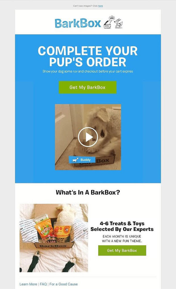 Barkbox's abandoned cart email