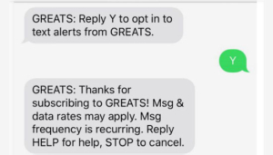 GREATS SMS campaign as an example