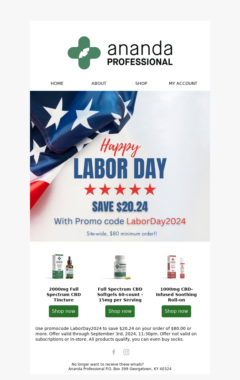 Ananda Professional-Labor-Day-Email-Template