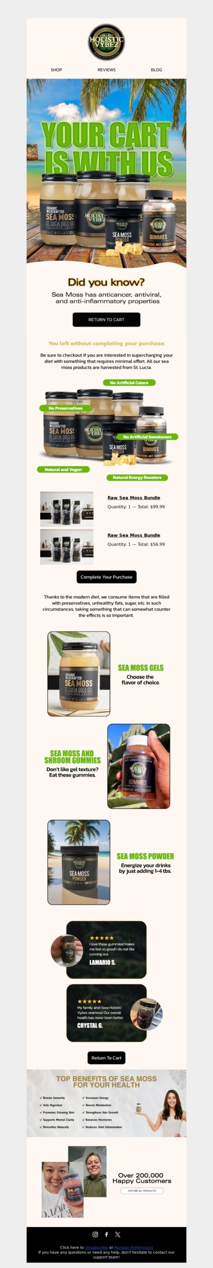 holistic vybes-abandoned cart email examples