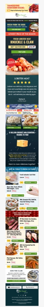 all fresh seafood 2 thanksgiving email template