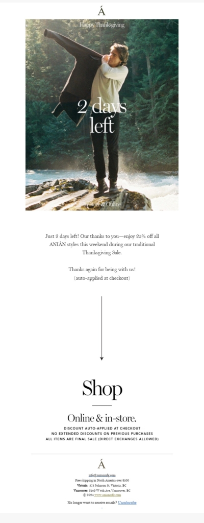 anian 2-thanksgiving email template