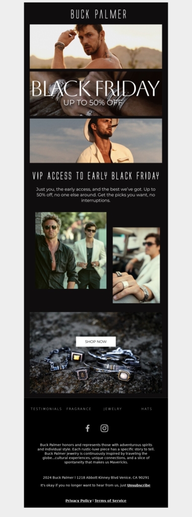 buck palmer black friday email template