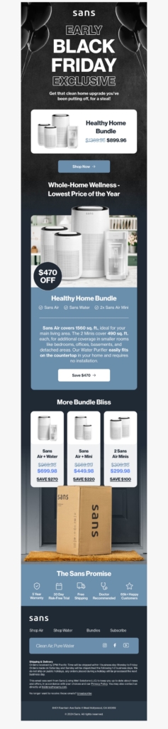 sans black friday email template