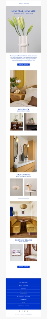 delight in your home-new year email template