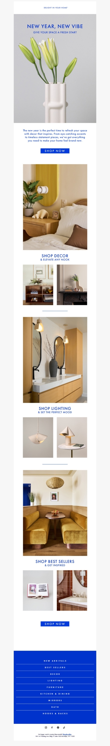 delight in your home-new year email template