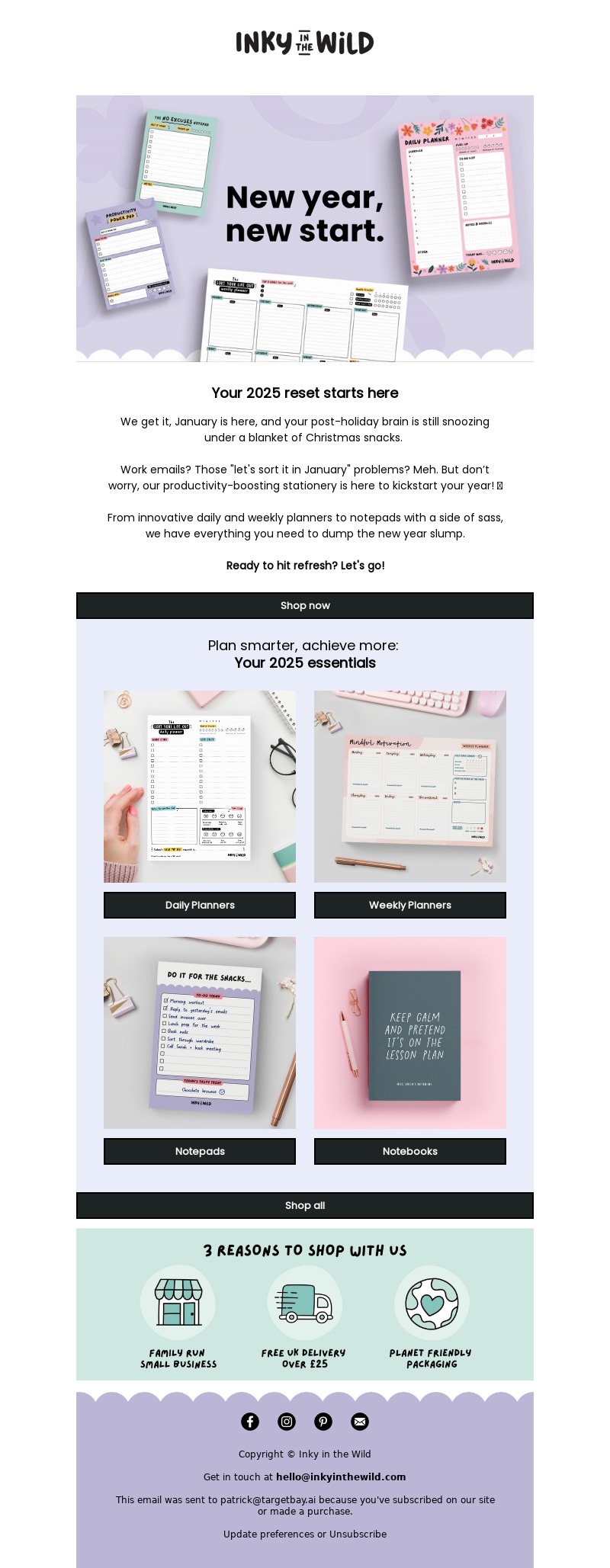 inky in the wild-new year email template