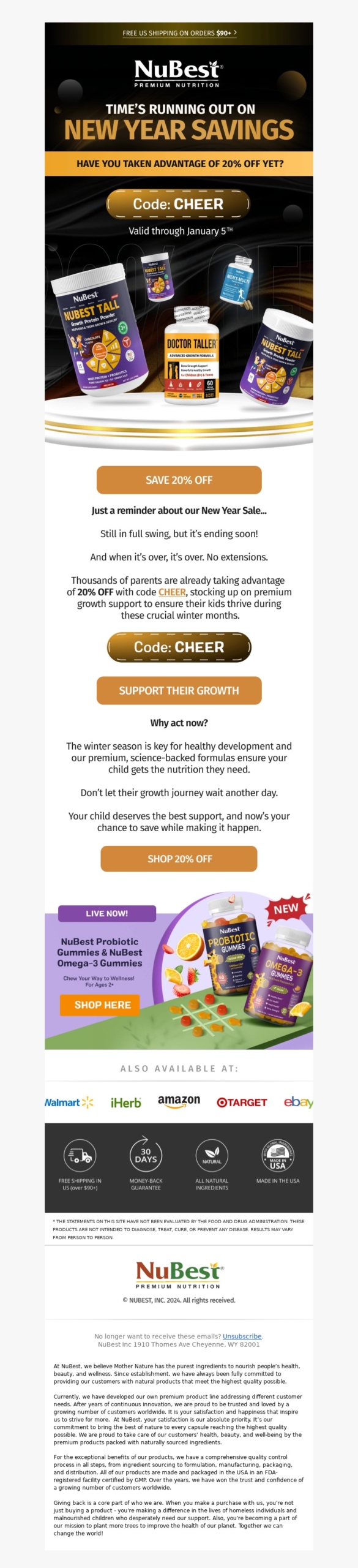 nubest-new year email template