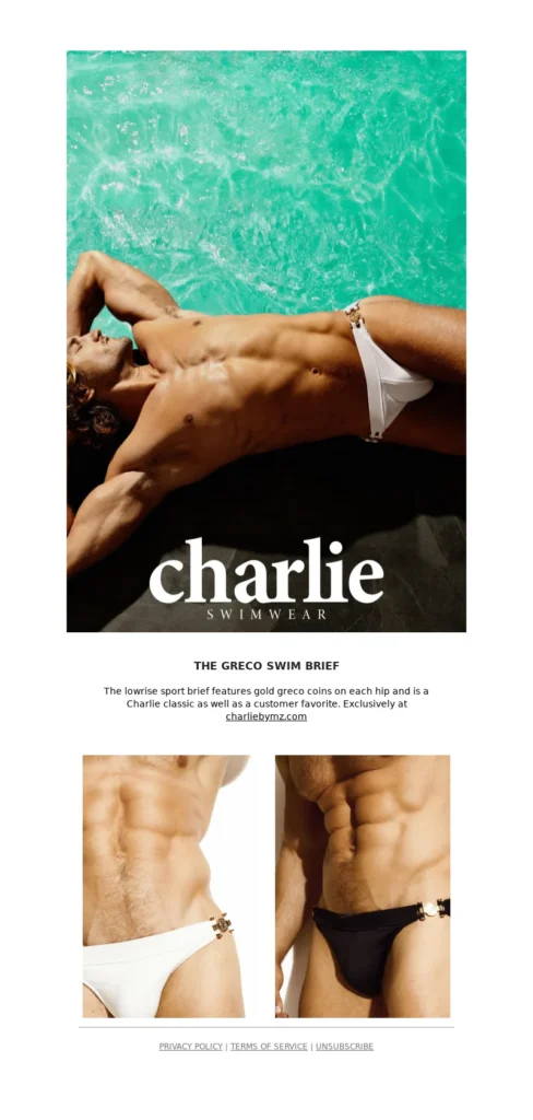 charlie-fashion email template