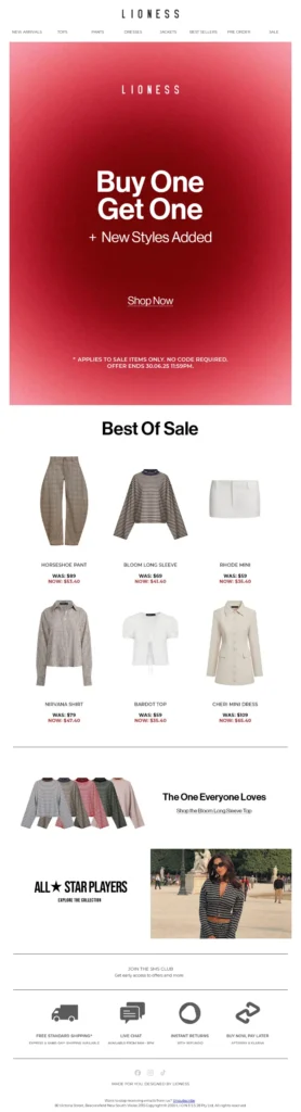 lioness-fashion email template