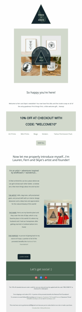 fern+skye-electronics email templates