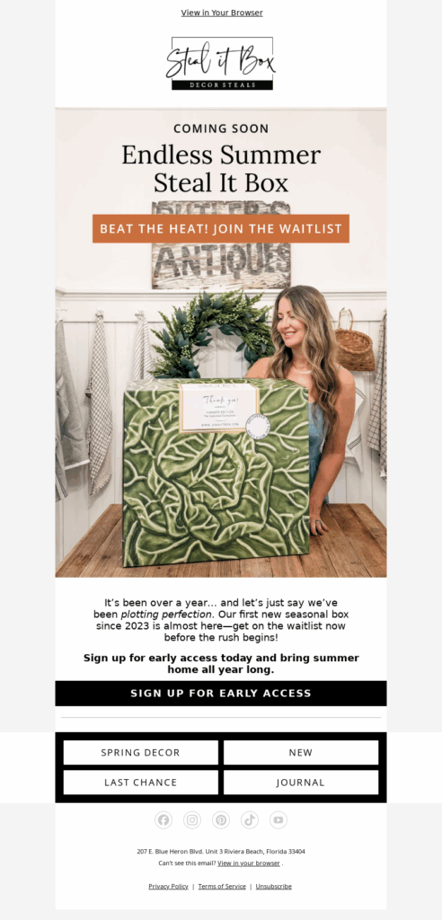 steal it box-home decor email template