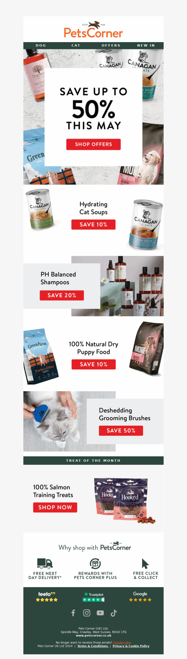 pets corner-petcare email template