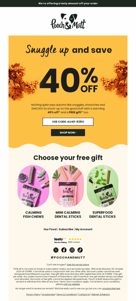 pooch and mutt-petcare email template