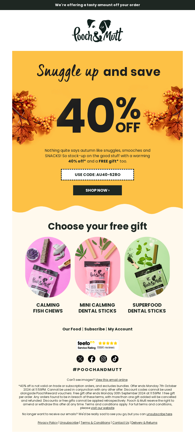 pooch and mutt-petcare email template