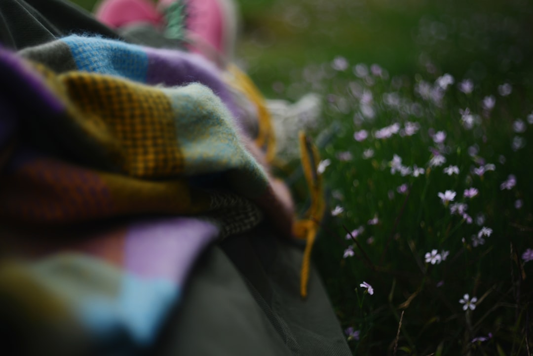 scottish lion tartan blanket