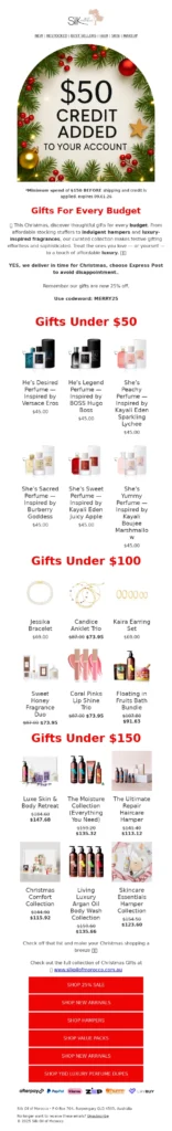 rebekahs hair design-Christmas Email Templates